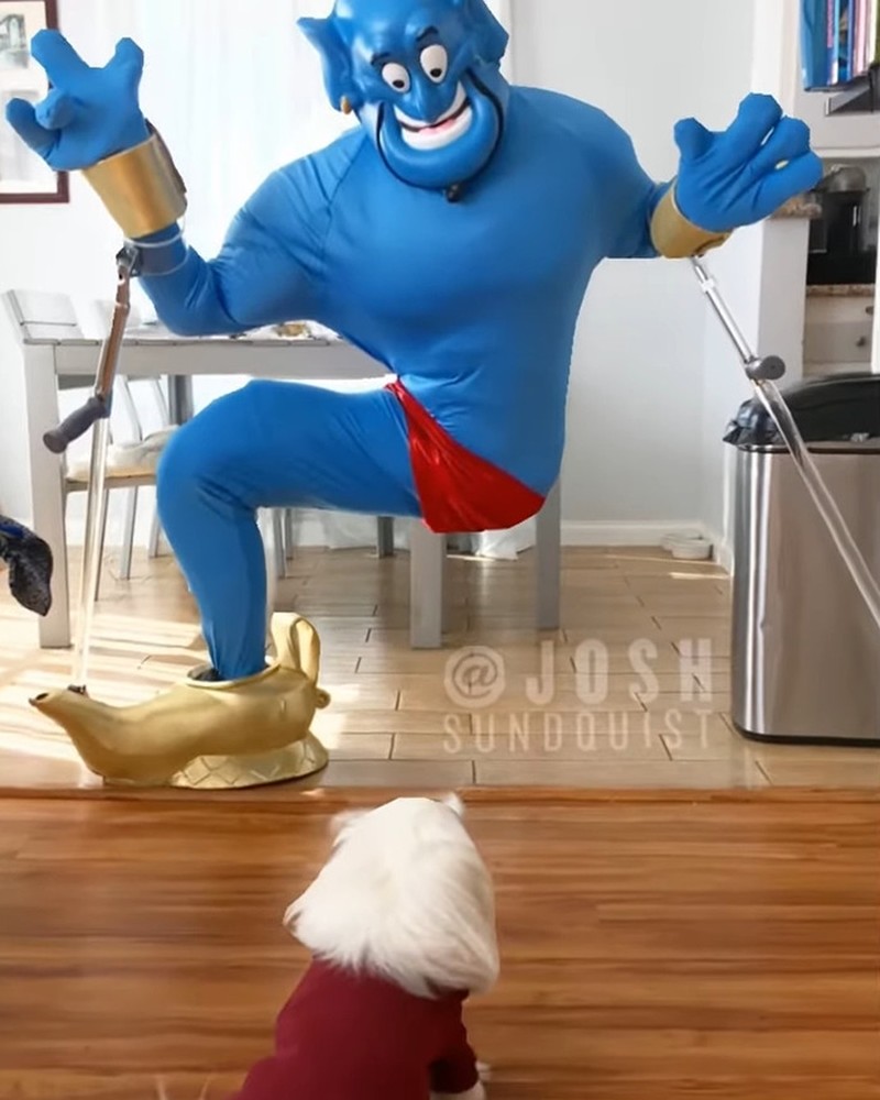 Kostum Halloween Josh Sundquist