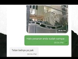 Chat Ojol Kocak Bikin Ngakak Guling-guling, Driver & Penumpang Adu Lucu!