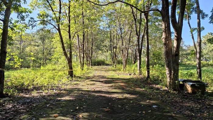 Lokasi wanita tewas dianiaya kekasih di Maros. Dokumen Istimewa Lokasi wanita tewas dianiaya kekasih di Maros. Dokumen Istimewa