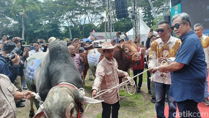 Mentan Salurkan Bantuan Pertanian di Jember