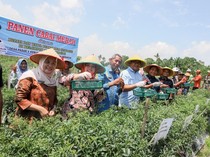 Bupati Deli Serdang Siapkan Swasembada Cabai dan Bawang Merah