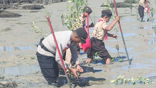 Polres Kepulauan Meranti dan Gerakan Pramuka menanam mangrove di Pantai Rangsang Pesisir, mewujudkan Green Policing. Polres Kepulauan Meranti dan Gerakan Pramuka menanam mangrove di Pantai Rangsang Pesisir, mewujudkan Green Policing, Jumat (31/10/2025).
