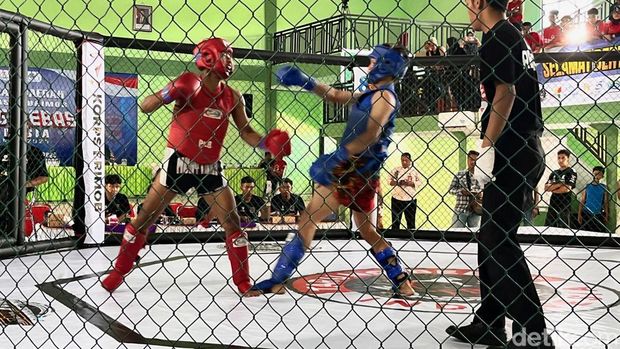 Sejumlah petarung adu tangkas dalam Kejurda Tarung Bebas Dansat Brimob Polda Jatim di Auditorium BLK Muncar.