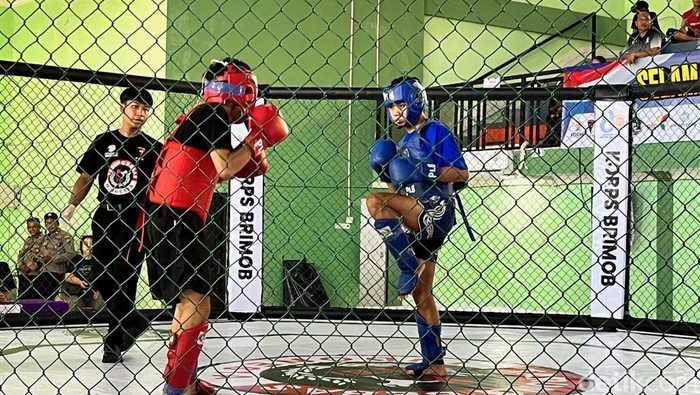 Sejumlah petarung adu tangkas dalam Kejurda Tarung Bebas Dansat Brimob Polda Jatim di Auditorium BLK Muncar.