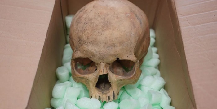 Turis Jerman kembalikan tengkorak curian ke Katedral Wina