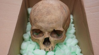 60 Tahun Berlalu, Turis Ini Kembalikan Tengkorak Curian ke Katedral Austria