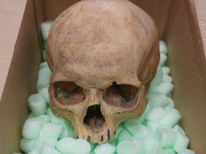 60 Tahun Berlalu, Turis Ini Kembalikan Tengkorak Curian ke Katedral Austria