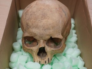 60 Tahun Berlalu, Turis Ini Kembalikan Tengkorak Curian ke Katedral Austria