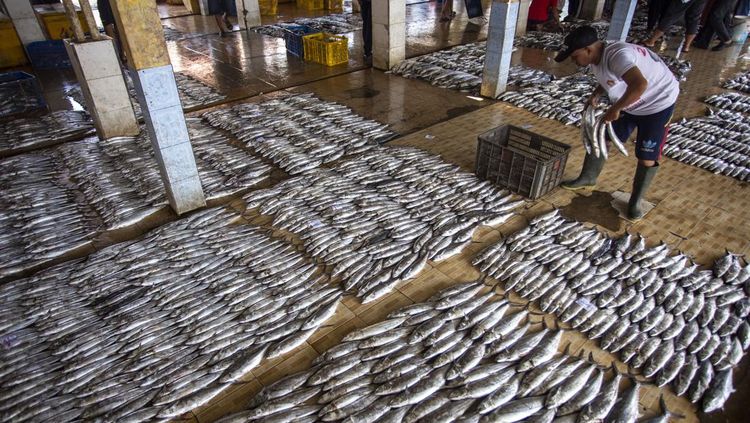 Volume Penangkapan Ikan Nasional 2025 Dibatasi 7 Juta Ton