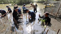 Penanaman mangrove kali ini menjadi kelanjutan dari program serupa yang telah menanam 8.600 mangrove di sembilan area konservasi sejak 2022.