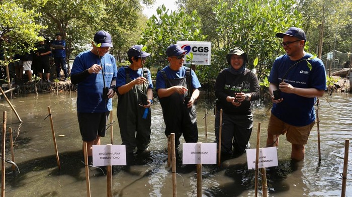 Sebagai wujud nyata kepedulian terhadap lingkungan, CGS International Sekuritas Indonesia bersama komunitas Seasoldier menanam 2.500 bibit mangrove secara serentak di lima provinsi, Sabtu (1/2/2025). Aksi hijau bertajuk Mangrove Project Untuk Satu Bumi ini digelar di Tangerang, Semarang, Surabaya, Mempawah, dan Baubau, dengan melibatkan lebih dari seratus karyawan dan ratusan relawan.