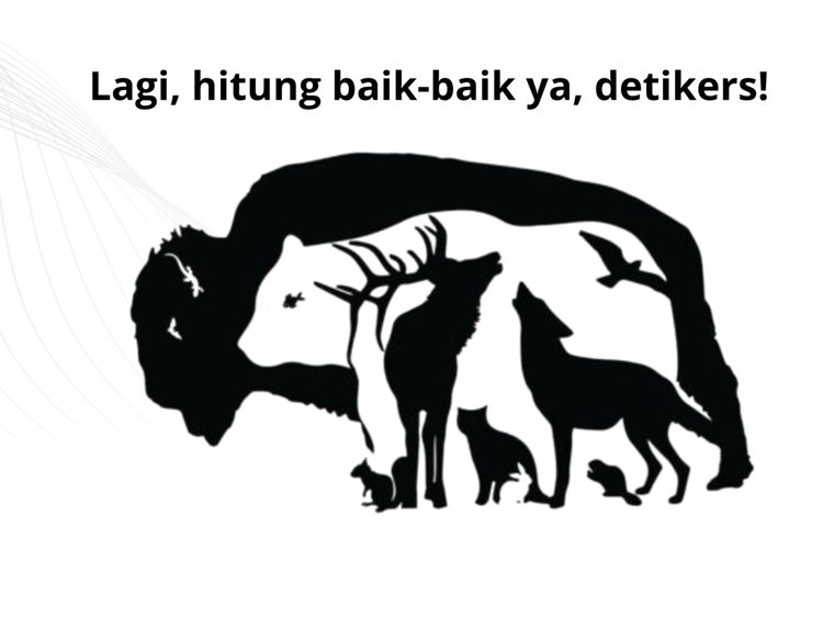 Cuma Orang Fokus Tinggi yang Bisa Temukan Semua Hewan Tersembunyi Ini Tanpa Zoom!