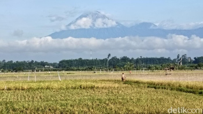 Gunung Semeru Alami 7 Kali Erupsi Pagi Ini, Status Masih Waspada
