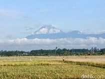 Gunung Semeru Alami 7 Kali Erupsi Pagi Ini, Status Masih Waspada