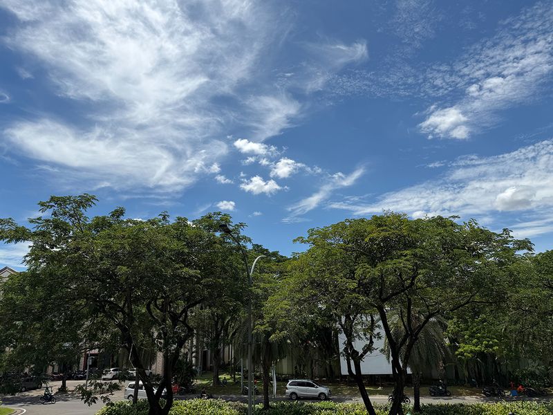 iPhone 17 Pro Orange iPhone 17 Pro Orange