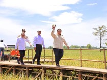 Di KTT APEC, Prabowo Ungkap RI Capai Produksi Beras Tertinggi dalam Sejarah