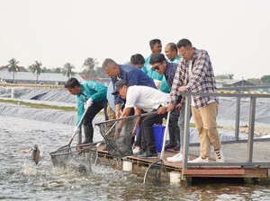 Menteri KP dan Raffi Cs ke BINS, Ajak Pemuda Tekuni Budidaya Perikanan