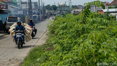 Pasca Penertiban Kali Baru Bekasi, Lahan Bekas Bangli Kini Dipenuhi Rumput Liar