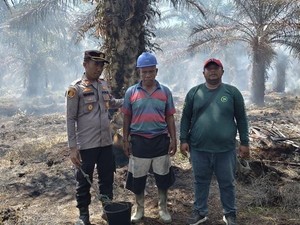 7 Ha Lahan di Rohil Terbakar gara-gara Puntung Rokok, Pelaku Ditangkap