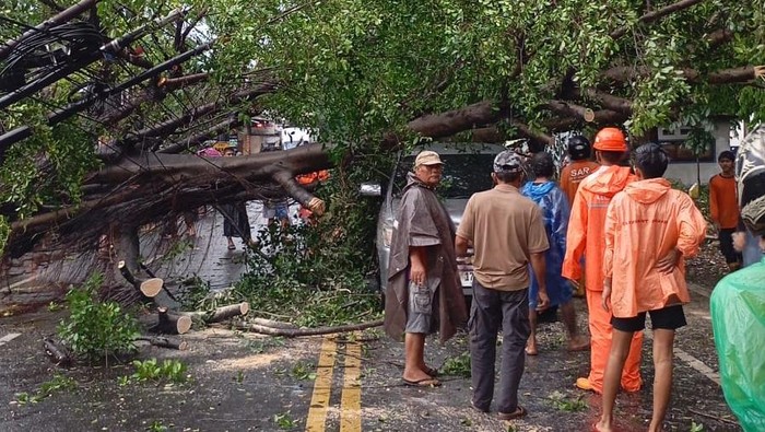 Sebuah mobil tertimpa pohon tumbang di Jalan Raya Gadang, Kota Malang