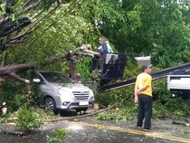 Hujan Deras-Angin Kencang Bikin Belasan Pohon di Kota Malang Tumbang