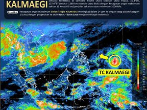 Video: Imbas Topan Kalmaegi, Bangkai Kapal Abad ke-14 Muncul di Pantai Vietnam