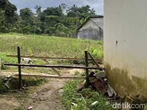 Keluarga Balita Korban Pencabulan Diteror, Akses ke Rumah Dirusak-Dipagar