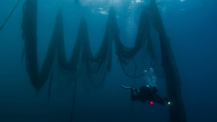Volunteer divers from the environmental group Aegean Rebreath carry a fish-farming net during an underwater cleanup off the islet of Sapientza, near Methoni, in southern Greece, October 12, 2025. REUTERS/Stelios Misinas