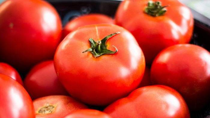 Manfaat Makan Tomat Setiap Hari dan Waktu Terbaik Mengonsumsinya