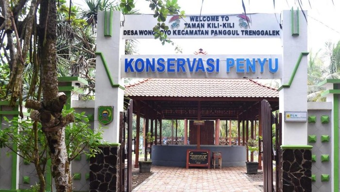 Eksplor Pantai, Sungai hingga Tebing di Desa Wisata Wonocoyo Trenggalek