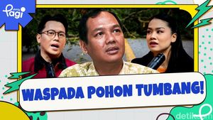 Video: Waspada Pohon Tumbang!