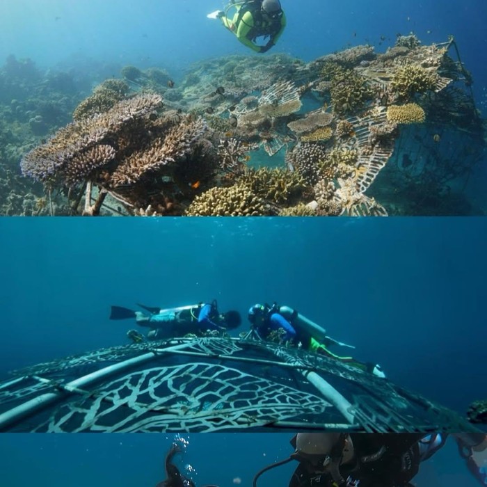 Film Terumbu Karang Karya Teguh Ostenrik