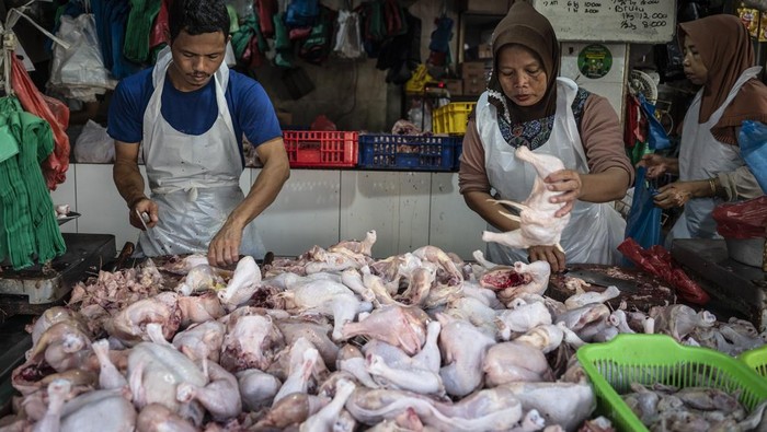 Harga Daging Ayam di Sumut Naik Jelang Nataru, Ada yang Rp 55 Ribu/Kg