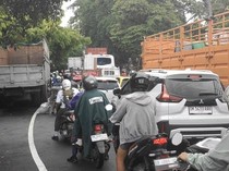 Jalan Denpasar-Gilimanuk Macet 6 Km gegara Pohon Tumbang dan Truk Mogok