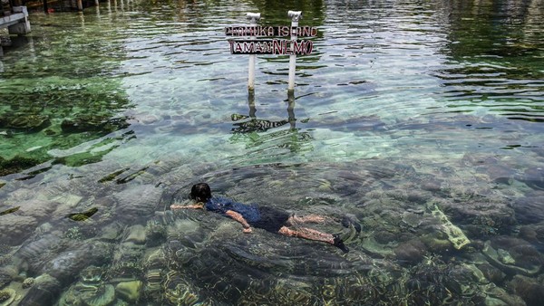 Luas Kawasan Konservasi Laut Nasional Capai 30,99 Juta Hektare di 2025