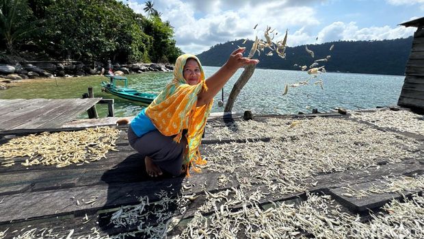 Pembangunan Smelter Bauksit Menjadi Alumina Penampakan aktivitas pembangunan smelter bauksit menjadi alumina dan alumunium oleh PT. Dharma Inti Bersama (Harita Group) di Pulau Penebang, Desa Pelapis, Kecamatan Kepulauan Karimata, Kayong Utara.
