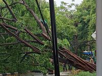 Geger Penemuan Kerangka Manusia di Saluran Irigasi Karawang