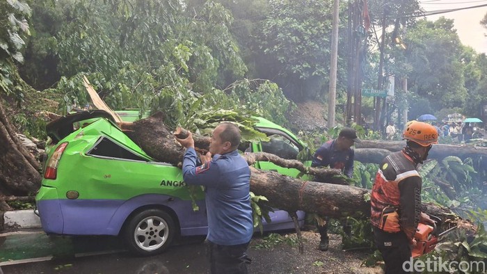 Pohon tumbang menimpa angkot di Kota Bogor hingga ringsek dan tutup akses lalin, Senin (3/11/2025) sore.