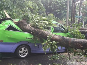 BPBD Catat 917 Bencana Terjadi Sejak Januari di Bogor, 6 Orang Meninggal