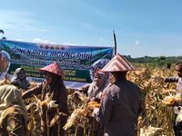 Barcelona Urung Tawarkan Kontrak, Robert Lewandowski Pertimbangkan Pensiun