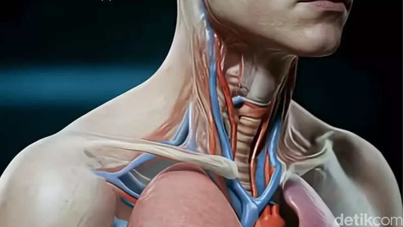 Puasa 24 Jam Tanpa Makan, Ternyata Tubuh Mengalami Hal Tak Terduga Ini .