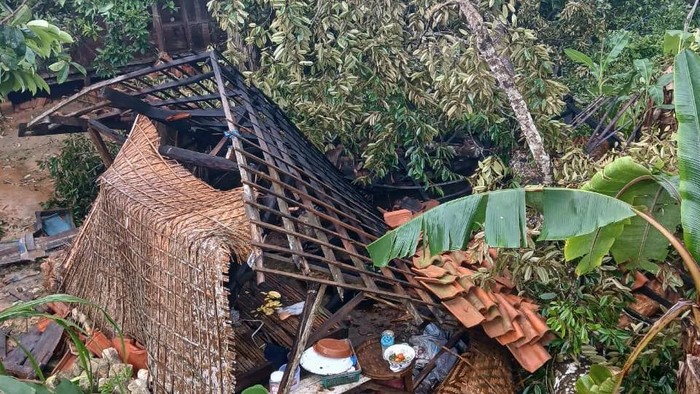 Rumah warga di Pamekasan rusak tertimpa pohon