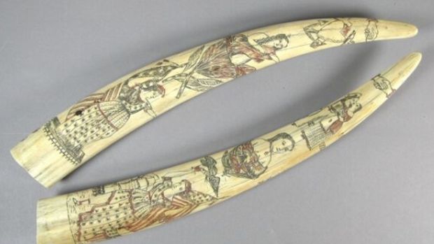 Sepasang gading walrus scrimshaw. (Dok. Oakland Museum of California Collections)