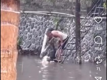 Viral Pria Lempar Kantong Penuh Sampah ke Tukad Badung