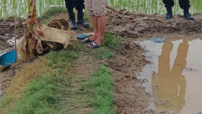 Petugas melakukan olah TKP pria tersambar petir di persawahan Dusun Payasan, Desa Kalangdosari, Kecamatan Ngaringan, Kabupaten Grobogan, Minggu (2/11/2025).