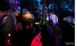 Belajar Tentang Keseimbangan Alam di Hutan Mycelia Lembang