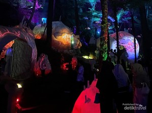 Belajar Tentang Keseimbangan Alam di Hutan Mycelia Lembang