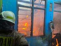 Truk Pengangkut Monyet Riset Terguling, 3 Ekor Kabur