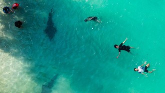 DKI Jakarta Bidik Investasi Rp14,3 Triliun di Sektor Pariwisata Tahun 2025