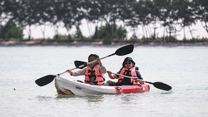 Wisatawan memberikan pakan hiu pari di Pulau Payung, Kepulauan Seribu, Jakarta, Selasa (4/11/2025). Berdasarkan data Kementerian Pariwisata, target investasi sektor pariwisata pada periode 2025-2029 menitikberatkan pada 10 destinasi pariwisata prioritas seperti di Provinsi DKI Jakarta yang ditargetkan dapat menarik investasi senilai Rp14,3 triliun pada 2025 dan mencapai Rp22 triliun pada 2029. ANTARA FOTO/Sulthony Hasanuddin